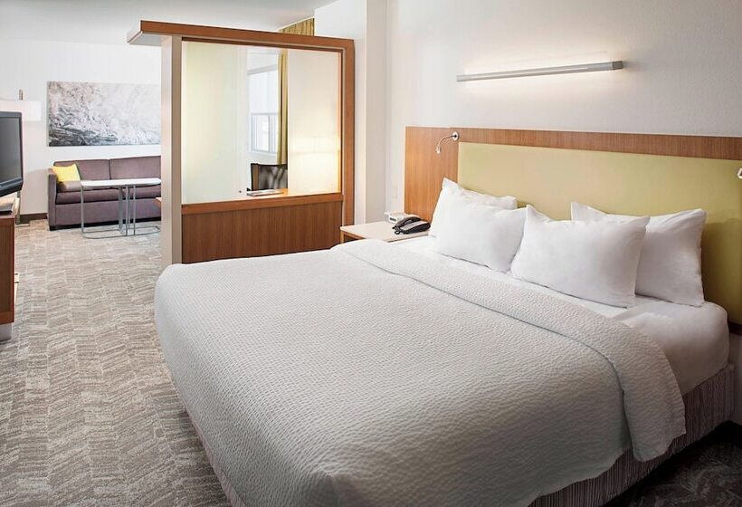 酒店 Springhill Suites By Marriott Savannah Downtown Historic District