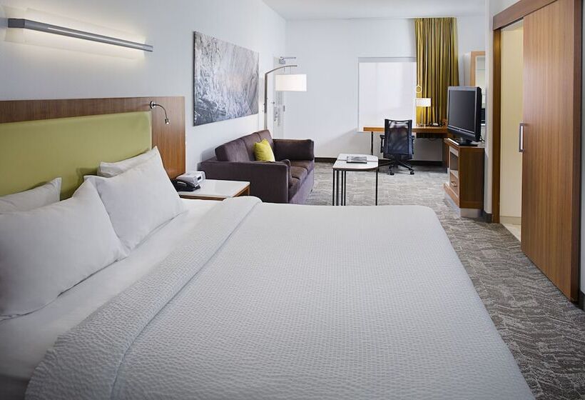 酒店 Springhill Suites By Marriott Savannah Downtown Historic District