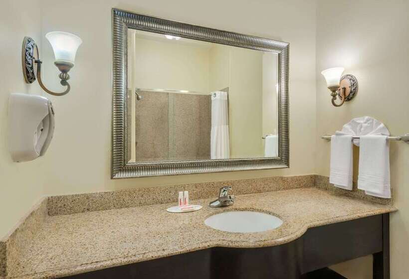 酒店 Super 8 By Wyndham Hidalgo At La Plaza Mall & Mcallen Airport