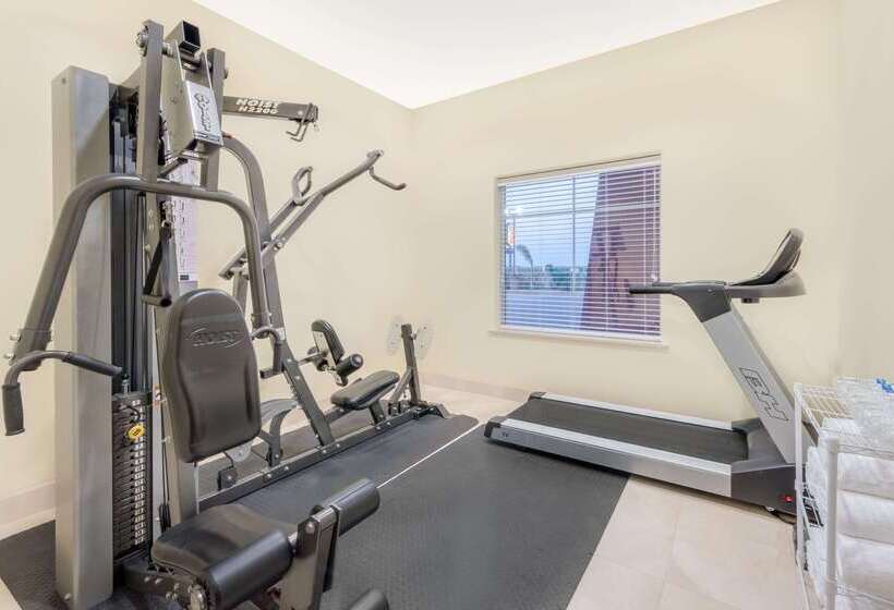 酒店 Super 8 By Wyndham Hidalgo At La Plaza Mall & Mcallen Airport