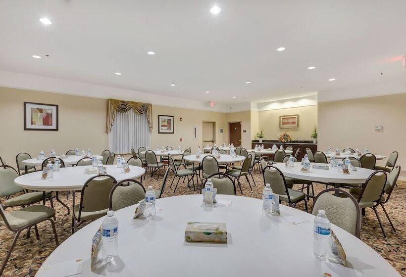 酒店 Super 8 By Wyndham Hidalgo At La Plaza Mall & Mcallen Airport