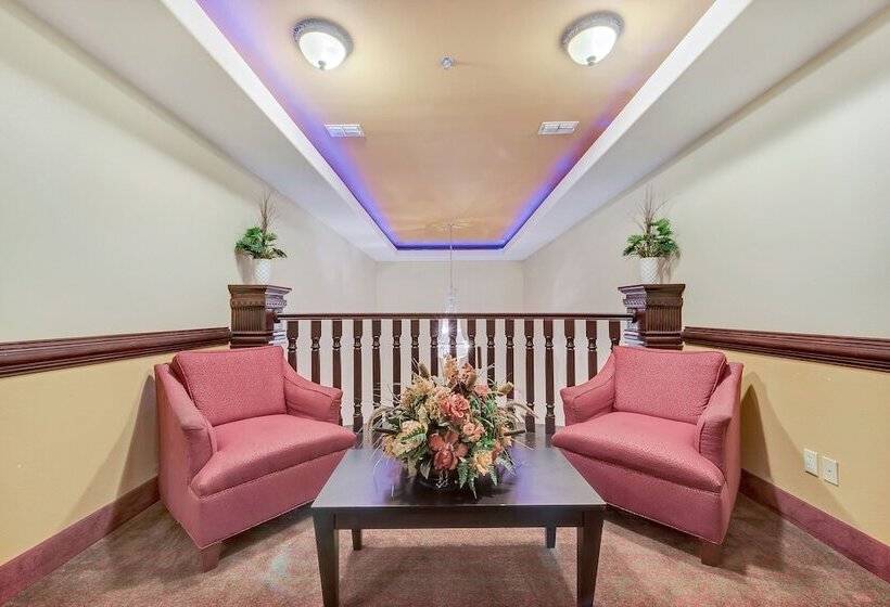 酒店 Super 8 By Wyndham Hidalgo At La Plaza Mall & Mcallen Airport