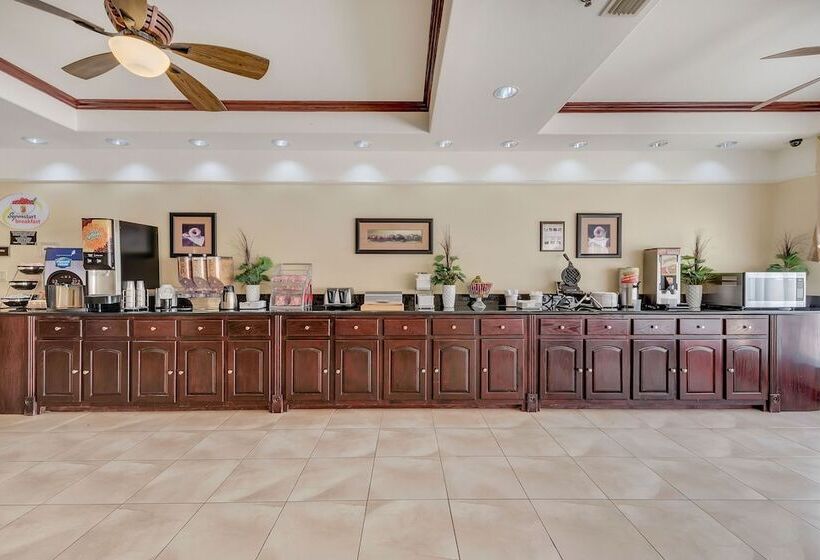 酒店 Super 8 By Wyndham Hidalgo At La Plaza Mall & Mcallen Airport