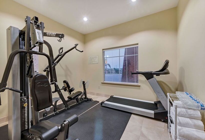 酒店 Super 8 By Wyndham Hidalgo At La Plaza Mall & Mcallen Airport