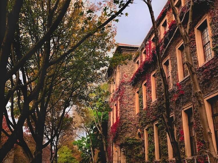 בית מלון כפרי Taj Cape Town