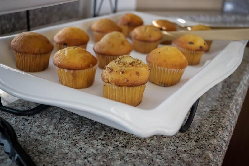 ホテル University Inn & Suites