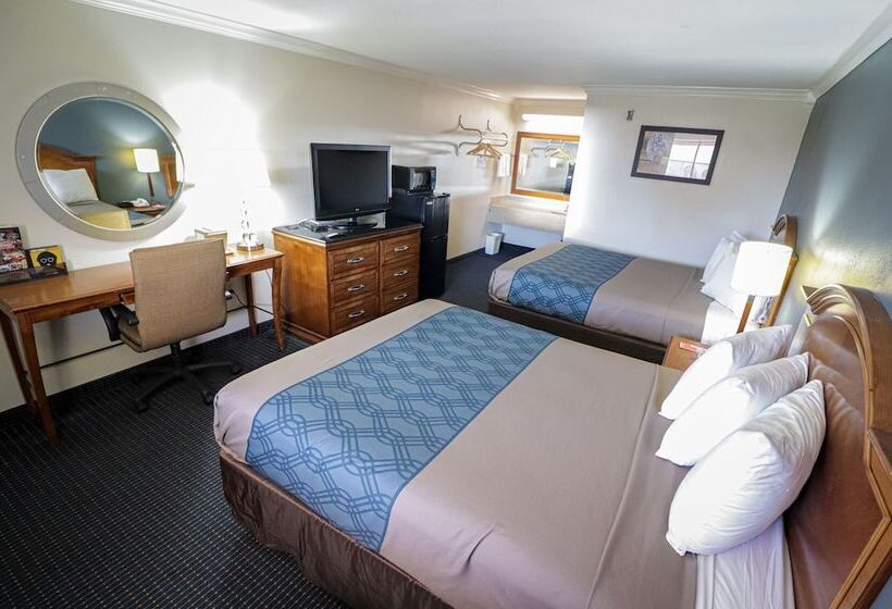 ホテル University Inn & Suites