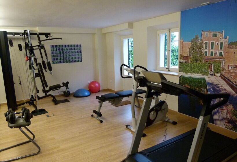 Отель Y Apartamentos Des Puig