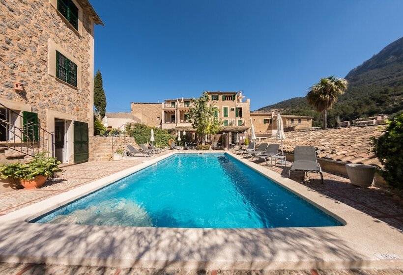 Отель Y Apartamentos Des Puig