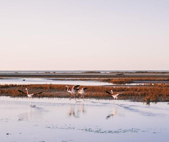 Le Domaine Du Golf By Ateya Vacances