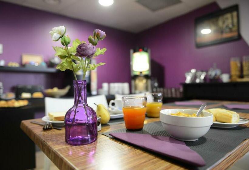 Residhotel Lyon Lamartine