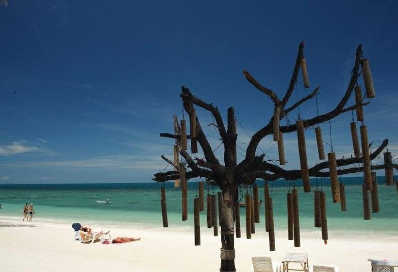 See Through Resort Haad Yao