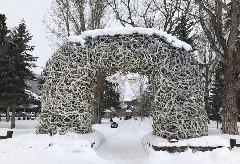 فندق على الطريق The Jackson Southtown