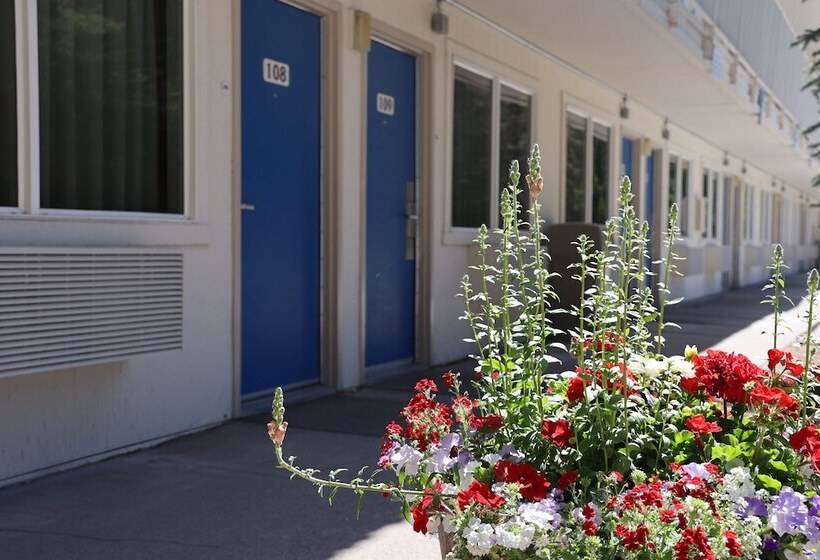 فندق على الطريق The Jackson Southtown