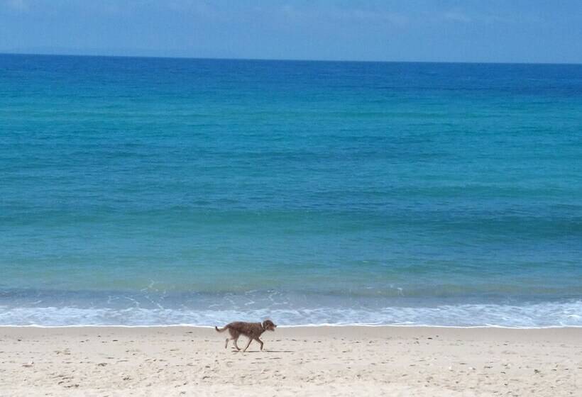 Zahara Sol Villas Y Apartamentos By Qhotels