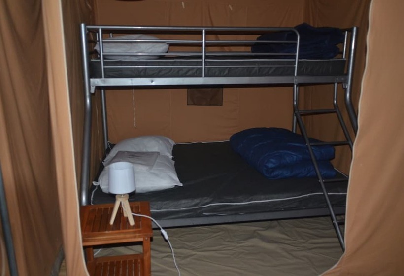 リゾートホテル Camping Maeva Escapades Le Domaine Des Chênes Blancs