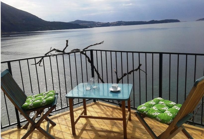 Robinzon Flora & Fauna