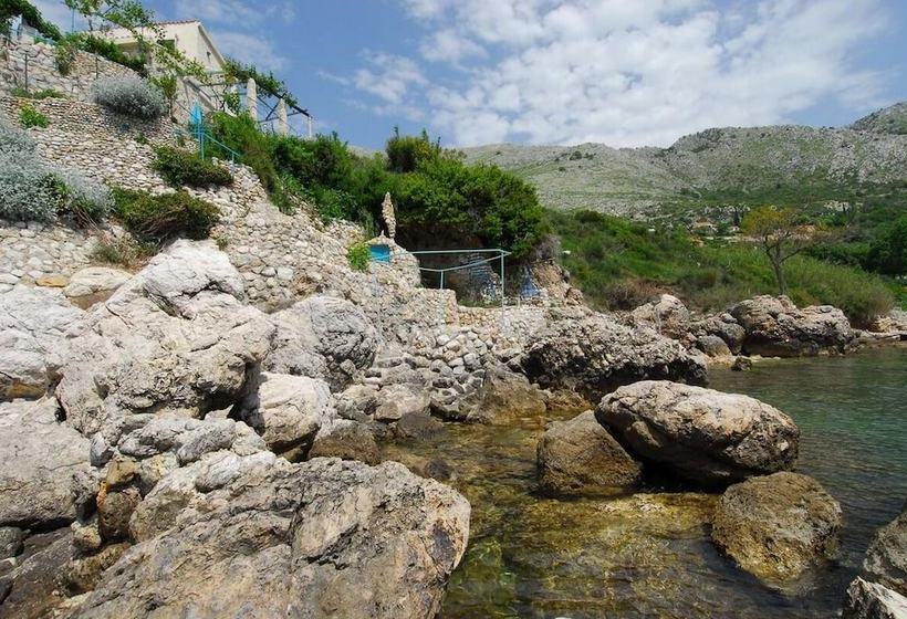 Robinzon Flora & Fauna