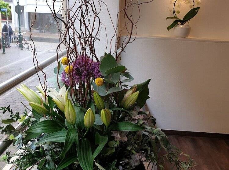 הוסטל Altstadt Residenz