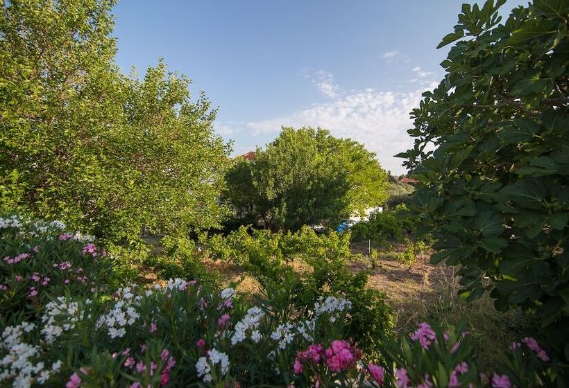 Akti Hotel & Apartments