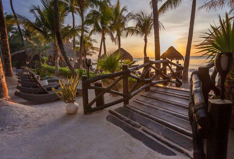 Beachfront Hotel La Palapa Adults Only