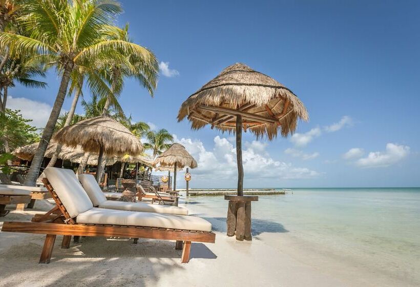 Beachfront Hotel La Palapa Adults Only