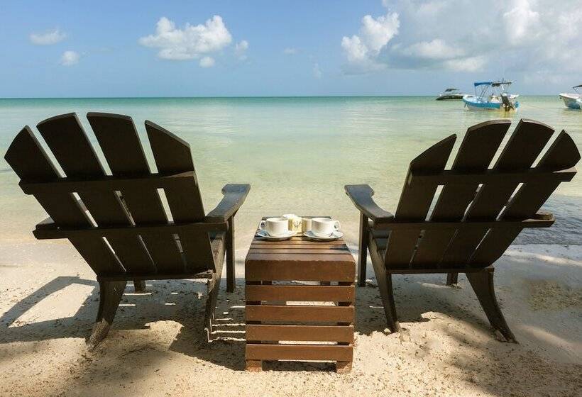 Beachfront Hotel La Palapa   Adults Only