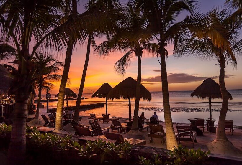 Beachfront Hotel La Palapa Adults Only