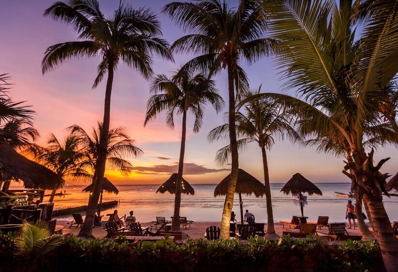 Beachfront Hotel La Palapa   Adults Only