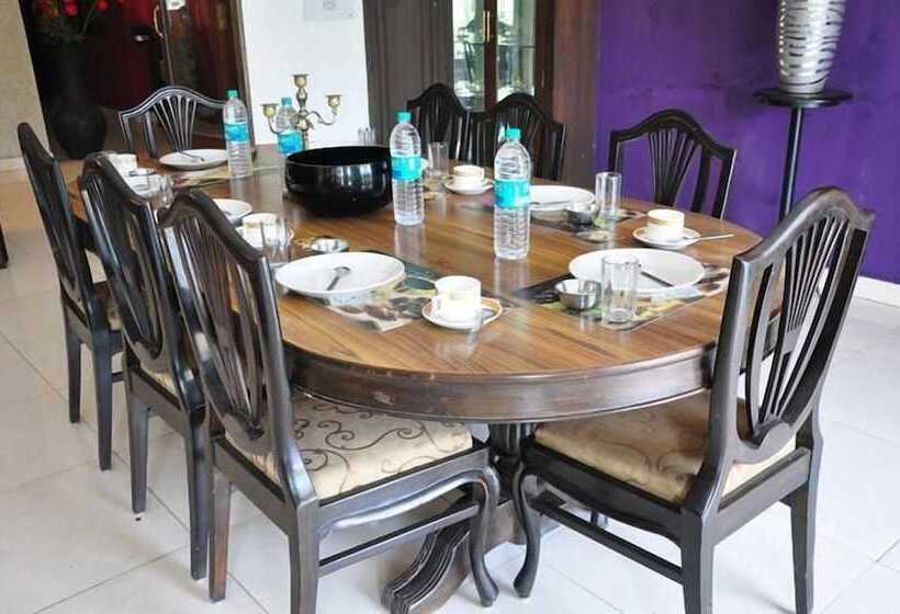 민박 Fabexpress Pulse Impulse