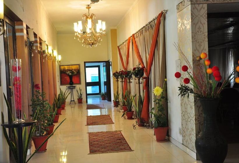 민박 Fabexpress Pulse Impulse