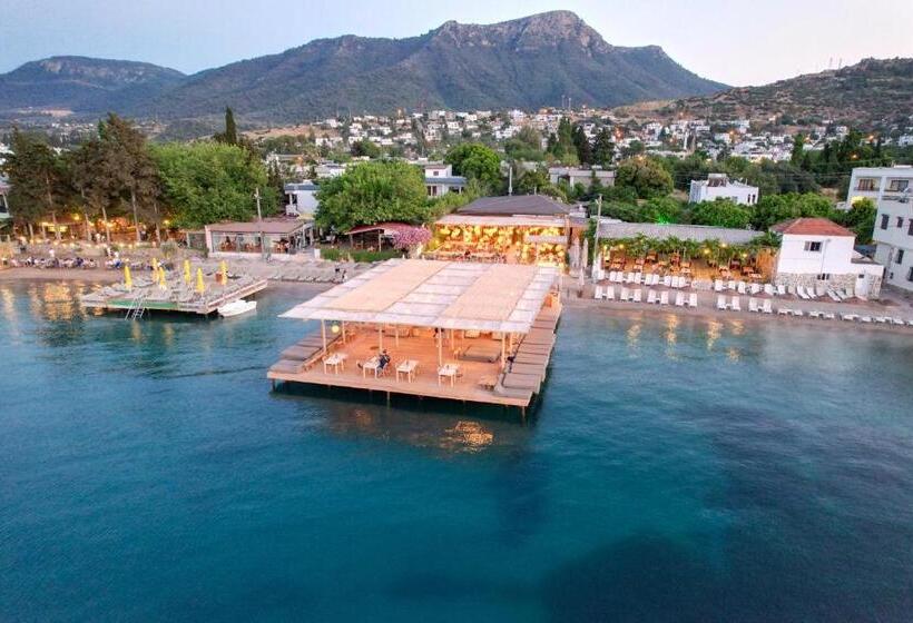 Faros Bodrum Hotel   Special Category