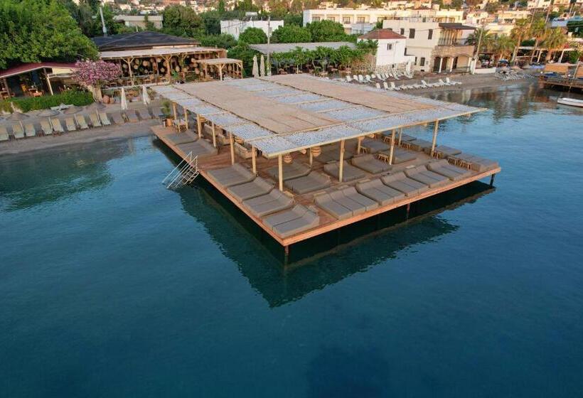 Faros Bodrum Hotel   Special Category