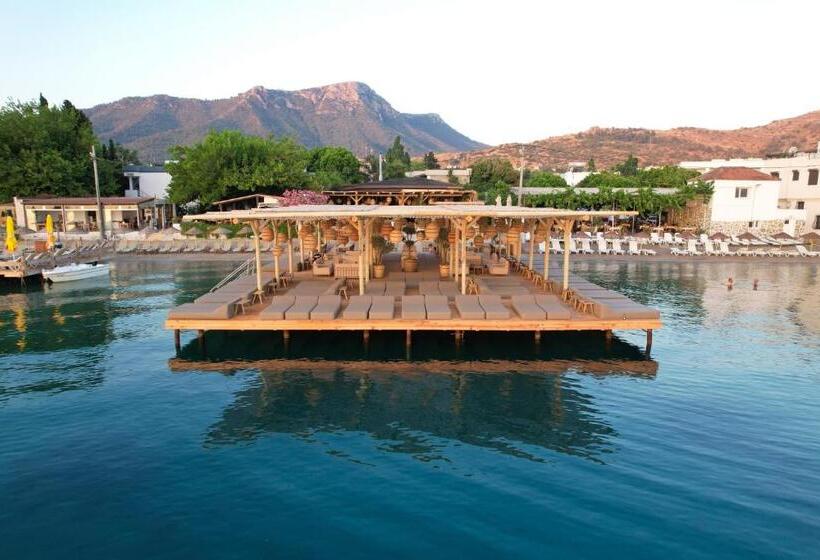 Faros Bodrum Hotel   Special Category