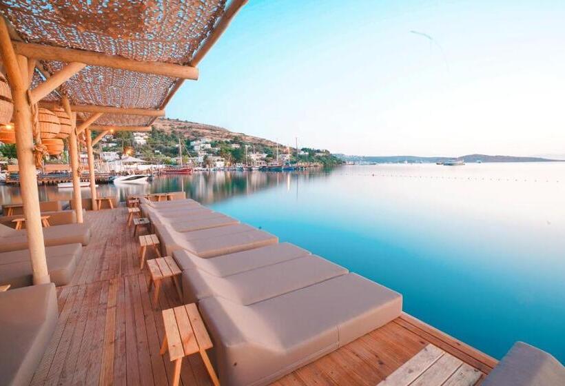 Faros Bodrum Hotel   Special Category