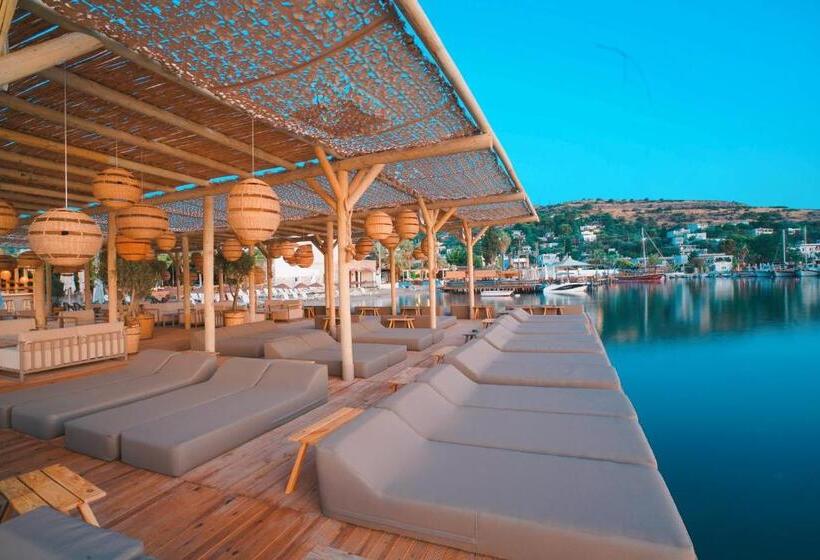 Faros Bodrum Hotel   Special Category