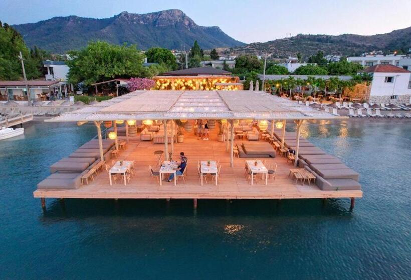 Faros Bodrum Hotel   Special Category