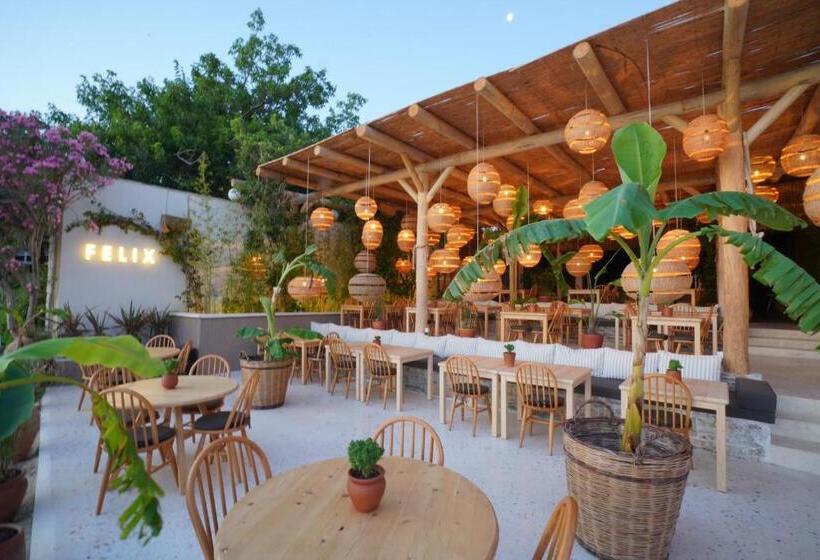 Faros Bodrum Hotel   Special Category