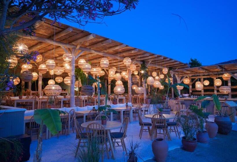 Faros Bodrum Hotel   Special Category