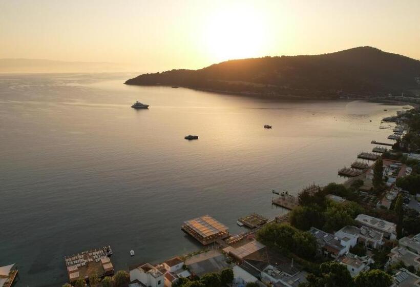 Faros Bodrum Hotel   Special Category