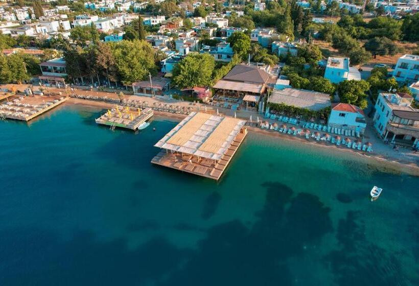 Faros Bodrum Hotel   Special Category