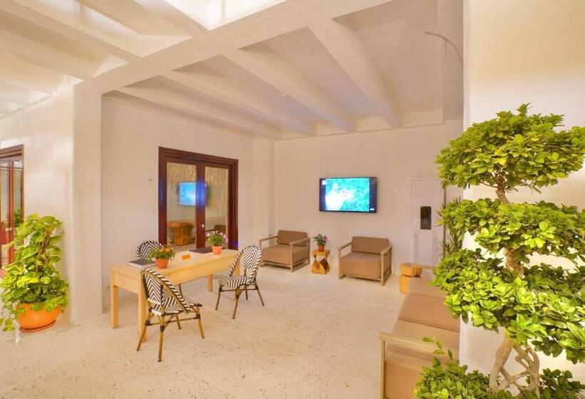 Faros Bodrum Hotel   Special Category