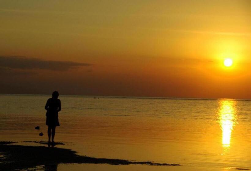 בית מלון כפרי New Adirama Beach