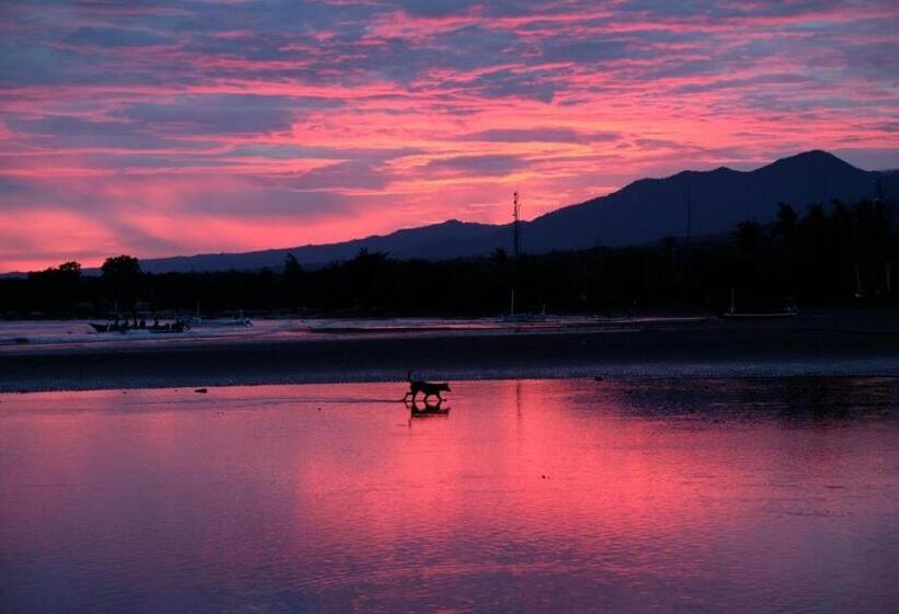 בית מלון כפרי New Adirama Beach