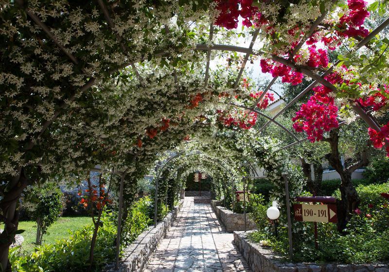 Отель Akti Taygetos Conference Resort