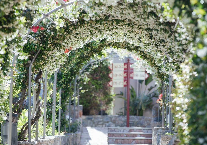 Отель Akti Taygetos Conference Resort