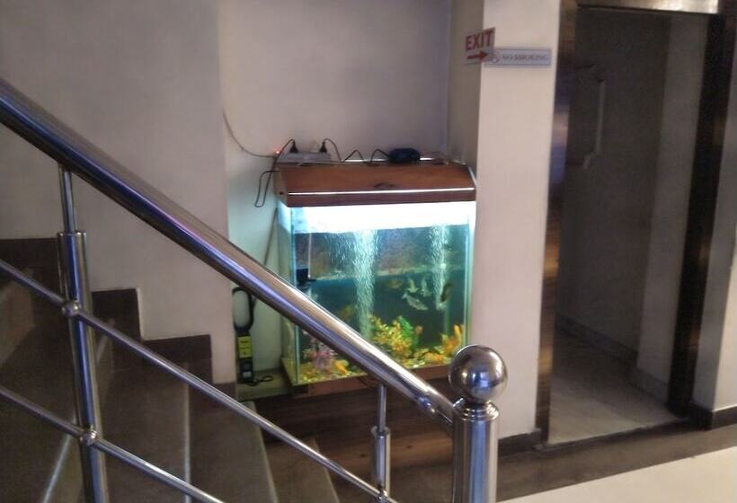 Отель B Continental