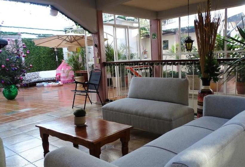 Отель Barrio Antiguo