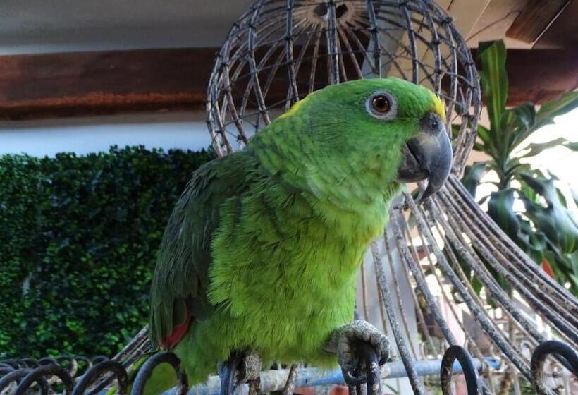 Отель Barrio Antiguo