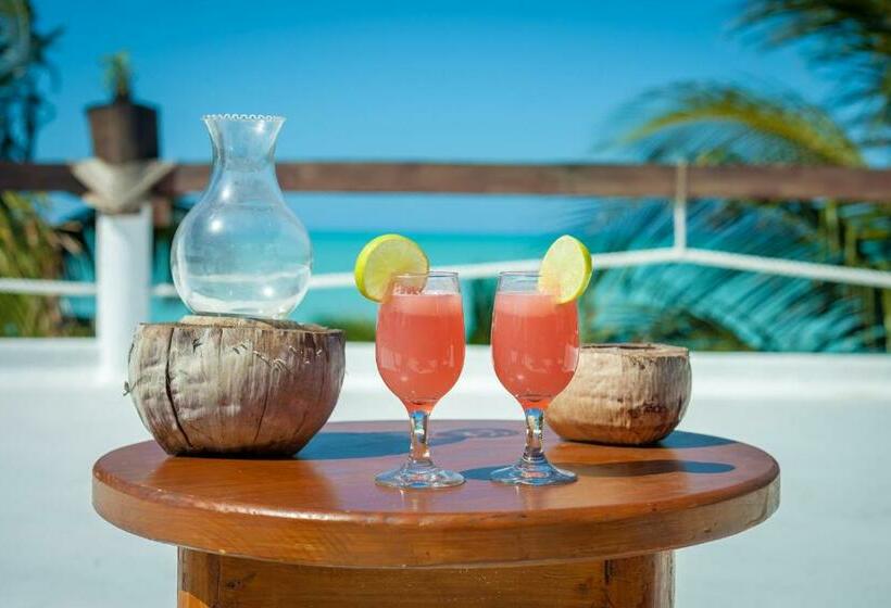 Beachfront Hotel La Palapa Adults Only
